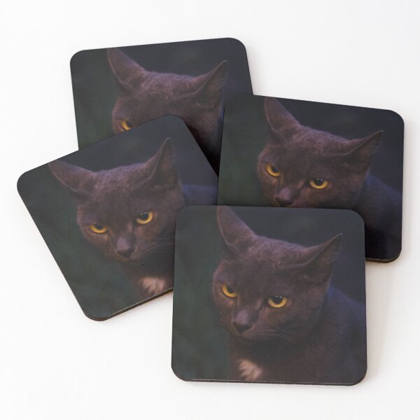 Item preview, Nighttime Annie Cat designed and sold by PhotoArtbyGrace.