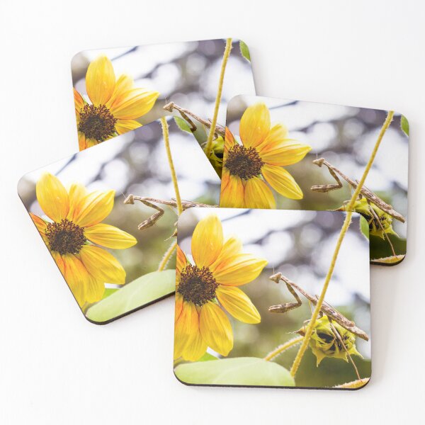Item preview, Mantis on Sunflower designed and sold by PhotoArtbyGrace.