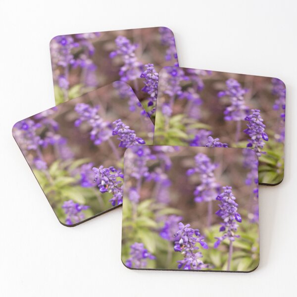 Aperçu de l'œuvre Fleurs de jardin violettes vibrantes créée et vendue par PhotoArtbyGrace.