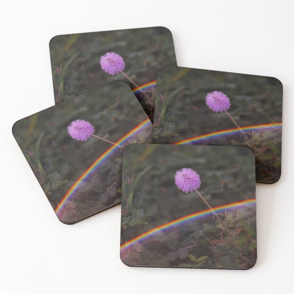 Aperçu de l'œuvre Arc-en-ciel sur les fleurs sauvages créée et vendue par PhotoArtbyGrace.
