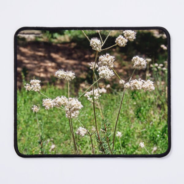 Item preview, Growing Wild and Free designed and sold by heatherfriedman.