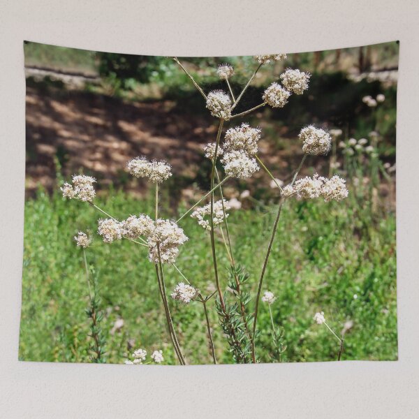 Item preview, Growing Wild and Free designed and sold by heatherfriedman.