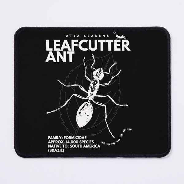 Item preview, leafcutter ant designed and sold by ComSol.
