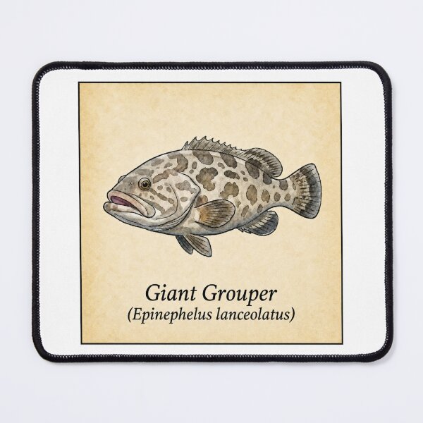 Item preview, Giant Grouper Vintage Watercolor Fish Print designed and sold by KenworksDigital.