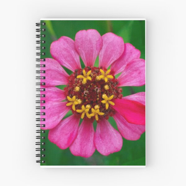 Item preview, Smily Face Zinnia 1x1 designed and sold by PhotoArtbyGrace.