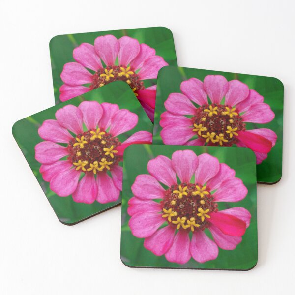 Item preview, Smily Face Zinnia 1x1 designed and sold by PhotoArtbyGrace.