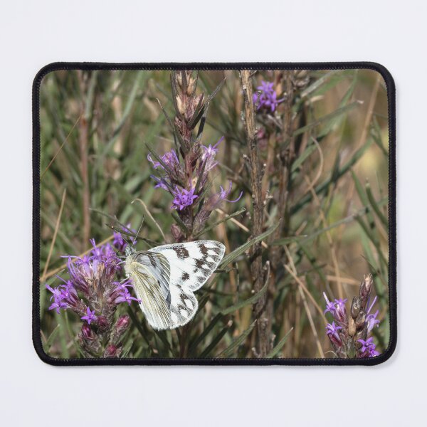 Item preview, Becker's White Butterfly feeding on purple flower designed and sold by lisavonbiela.
