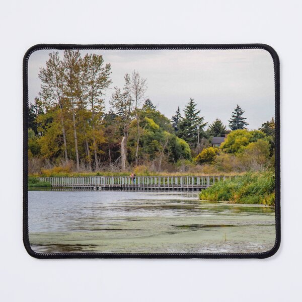 Item preview, Swan Lake Vancouver Island Canada designed and sold by Ernie Steven Dickey.