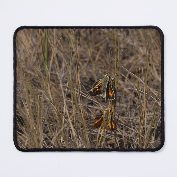 Item preview, Pair of Skipper Butterflies in dry grass designed and sold by lisavonbiela.