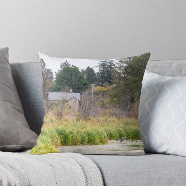 Item preview, Swan Lake Vancouver Island Canada designed and sold by Ernie Steven Dickey.