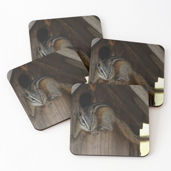 Item preview, Chipmunk balanced on birdhouse perch designed and sold by lisavonbiela.