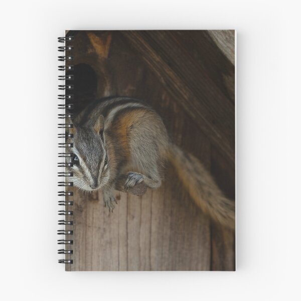 Item preview, Chipmunk balanced on birdhouse perch designed and sold by lisavonbiela.