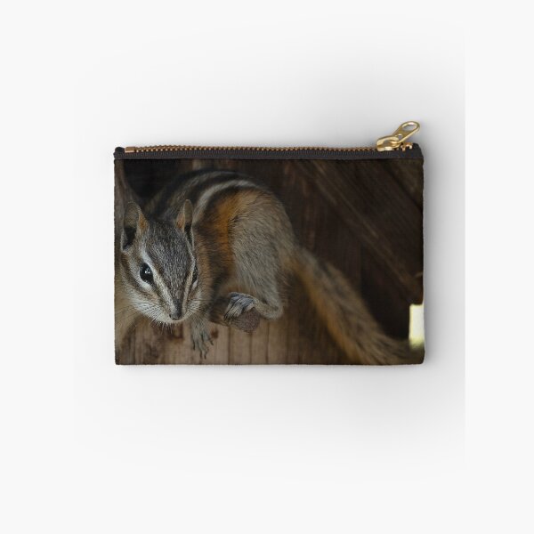 Item preview, Chipmunk balanced on birdhouse perch designed and sold by lisavonbiela.