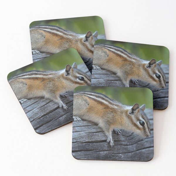 Item preview, Chipmunk about to jump off a wooden fence rail designed and sold by lisavonbiela.