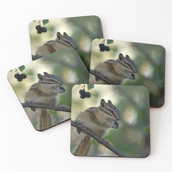 Item preview, Chipmunk balanced on branch while eating a berry designed and sold by lisavonbiela.