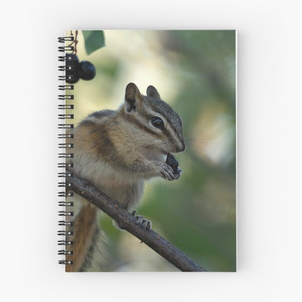 Item preview, Chipmunk balanced on branch while eating a berry designed and sold by lisavonbiela.