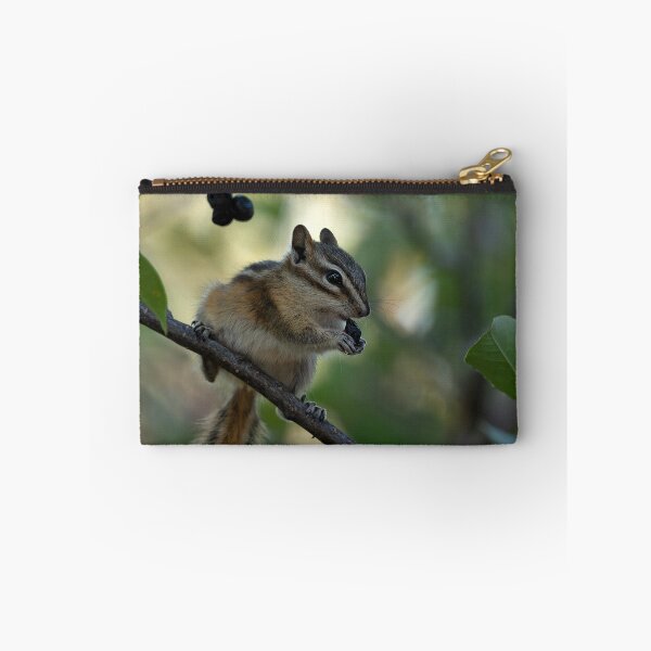 Item preview, Chipmunk balanced on branch while eating a berry designed and sold by lisavonbiela.