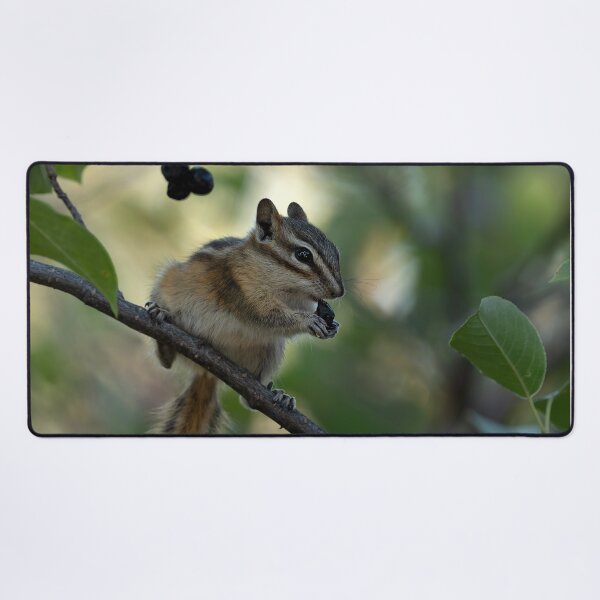 Item preview, Chipmunk balanced on branch while eating a berry designed and sold by lisavonbiela.