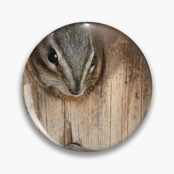 Item preview, Chipmunk peeking out of hole in birdhouse designed and sold by lisavonbiela.
