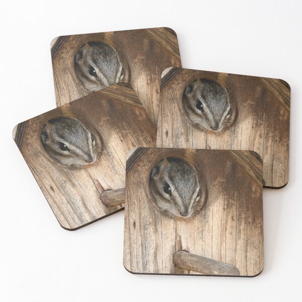 Item preview, Chipmunk peeking out of hole in birdhouse designed and sold by lisavonbiela.
