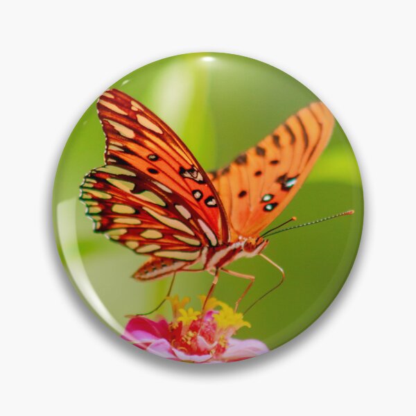 Item preview, Gulf Fritillary Butterfly on Pink Zinnia designed and sold by PhotoArtbyGrace.