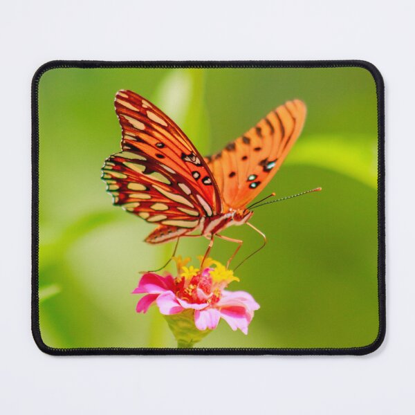 Item preview, Gulf Fritillary Butterfly on Pink Zinnia designed and sold by PhotoArtbyGrace.
