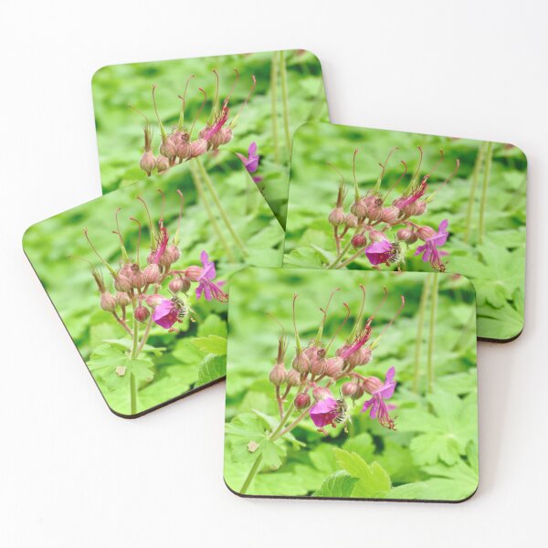 Item preview, Full Dive, Nectar Inspection in Progress designed and sold by Astute-Artio-Photography.
