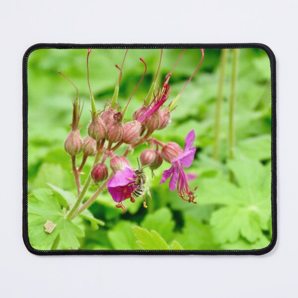 Item preview, Full Dive, Nectar Inspection in Progress designed and sold by Astute-Artio-Photography.