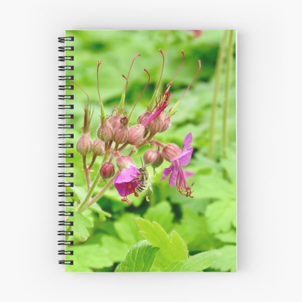 Item preview, Full Dive, Nectar Inspection in Progress designed and sold by Astute-Artio-Photography.