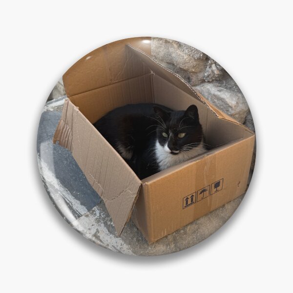 Item preview, Box Cat designed and sold by GeekyGirlsGarb.