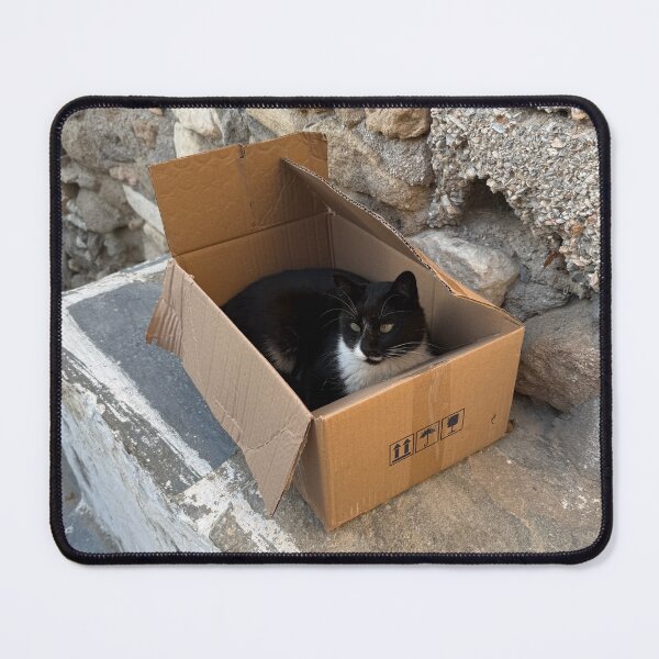 Item preview, Box Cat designed and sold by GeekyGirlsGarb.