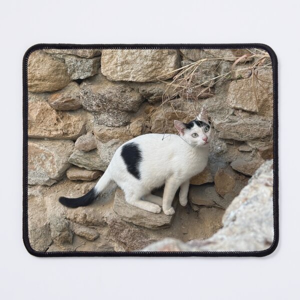 Item preview, Climbing Cat designed and sold by GeekyGirlsGarb.
