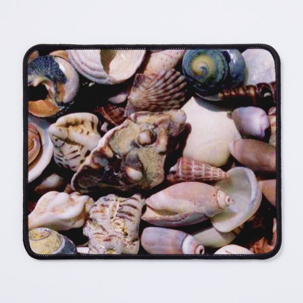 Item preview, Retro Seashell Print designed and sold by CCWorkfloor.