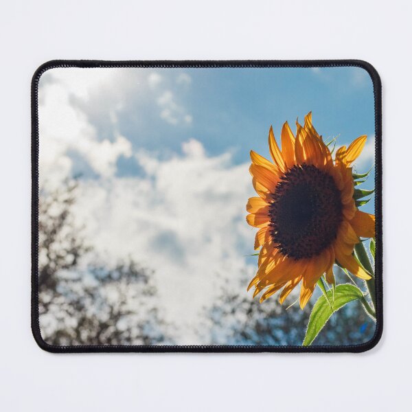 Item preview, Sunflower in Afternoon Sun designed and sold by PhotoArtbyGrace.