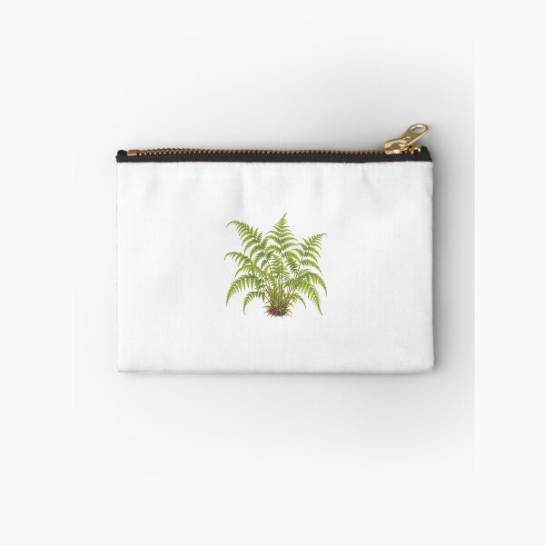 Item preview, New York Fern (Thelypteris noveboracensis) – Detailed Botanical Fern Illustration designed and sold by Ink-Whiskers.