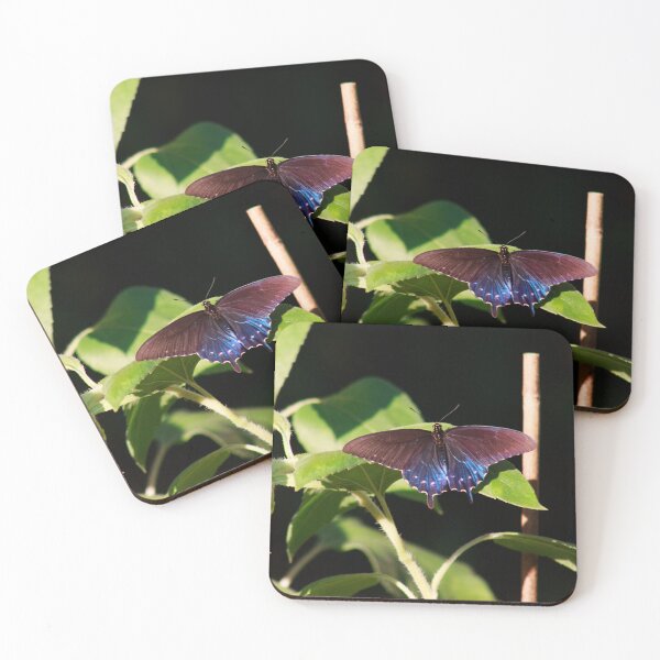 Item preview, Resting Pipevine Swallowtail Butterfly designed and sold by PhotoArtbyGrace.