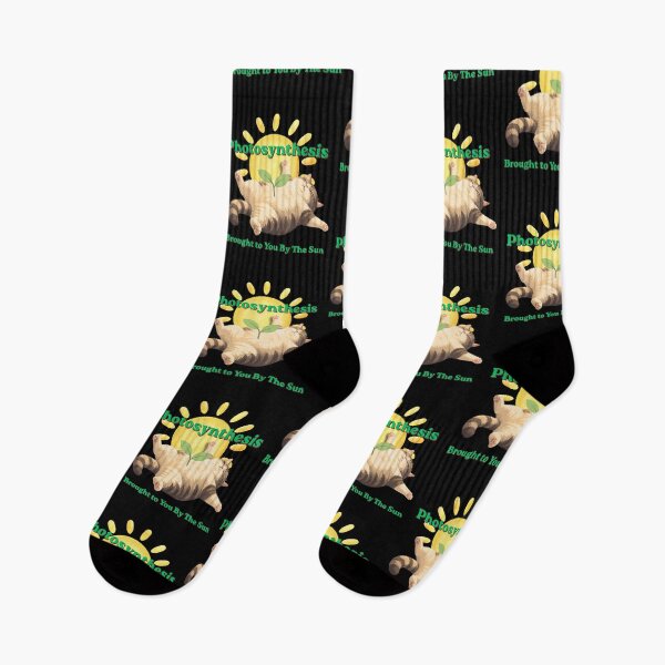 Item preview, Photosynthesis Brought to You By The Sun designed and sold by tellia-kallisto.