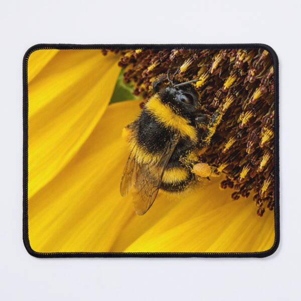Item preview, Dusted, When You Go All-In on the Cheeto Dust designed and sold by Astute-Artio-Photography.