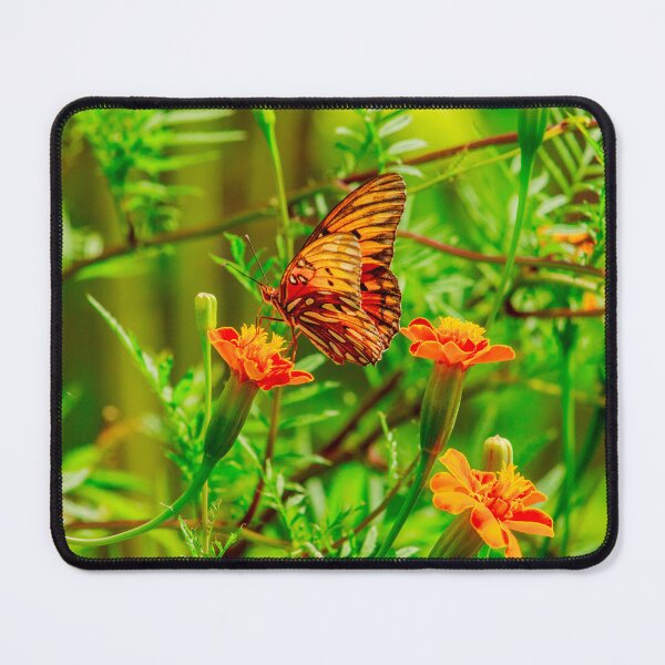 Item preview, Orange Butterfly in Marigold Bush designed and sold by PhotoArtbyGrace.