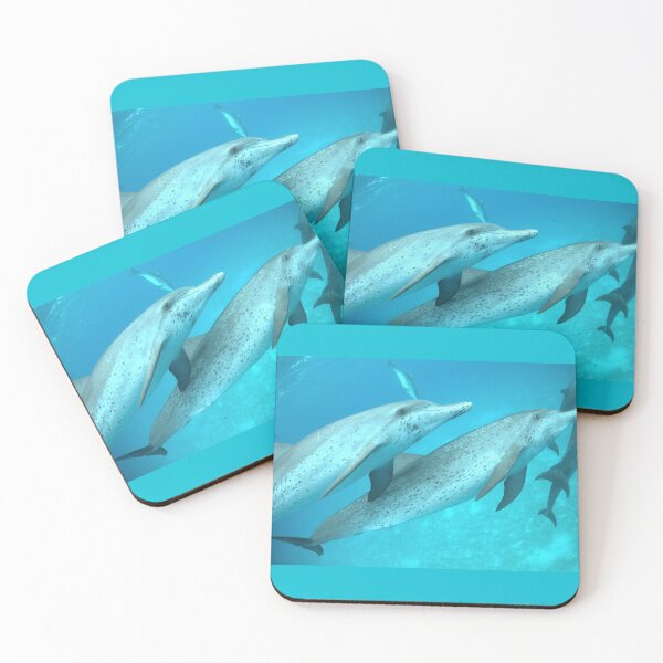 Item preview, Dolphin Eyes designed and sold by Whale & Dolphin Wisdom Retreats.