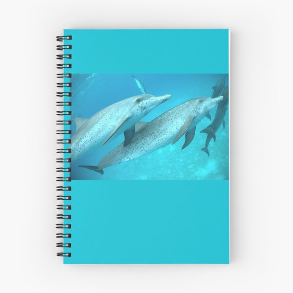 Item preview, Dolphin Eyes designed and sold by Whale & Dolphin Wisdom Retreats.