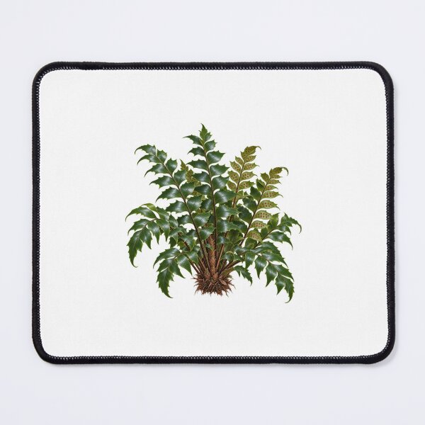 Item preview, Cyrtomium falcatum – Detailed Botanical Fern Illustration designed and sold by Ink-Whiskers.