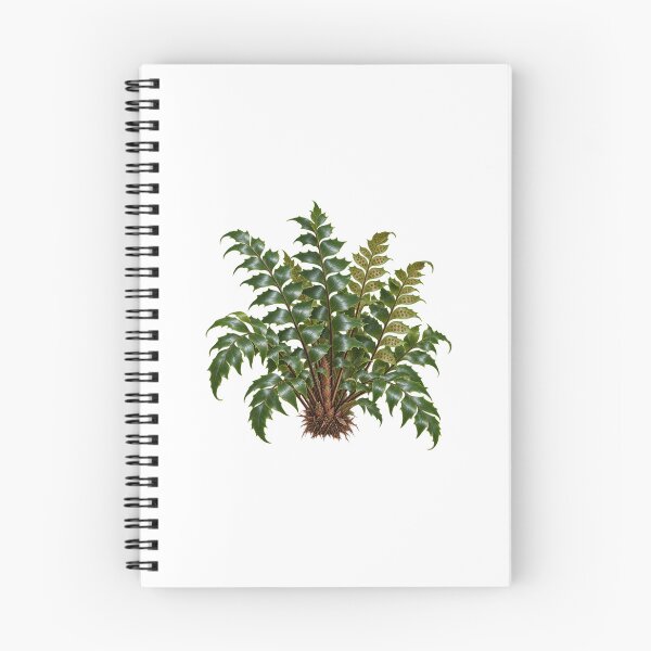 Item preview, Cyrtomium falcatum – Detailed Botanical Fern Illustration designed and sold by Ink-Whiskers.
