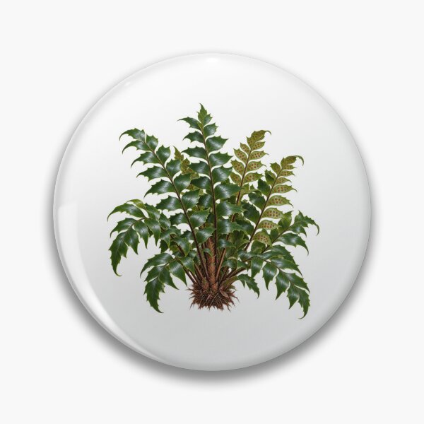 Item preview, Cyrtomium falcatum – Detailed Botanical Fern Illustration designed and sold by Ink-Whiskers.