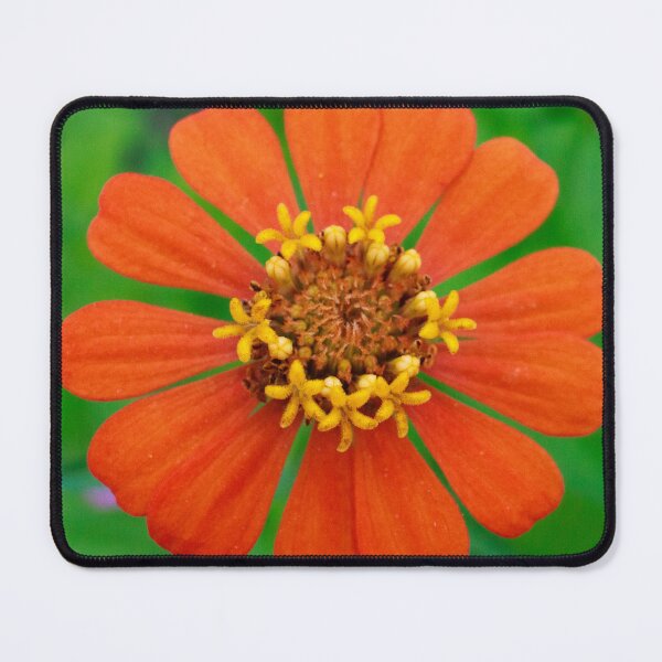 Item preview, Orange Zinnia designed and sold by PhotoArtbyGrace.