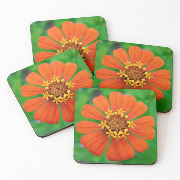Item preview, Orange Zinnia designed and sold by PhotoArtbyGrace.
