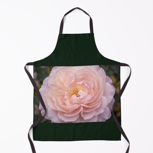 Item preview, Golden Kissed Pink Rose designed and sold by amusefullife.