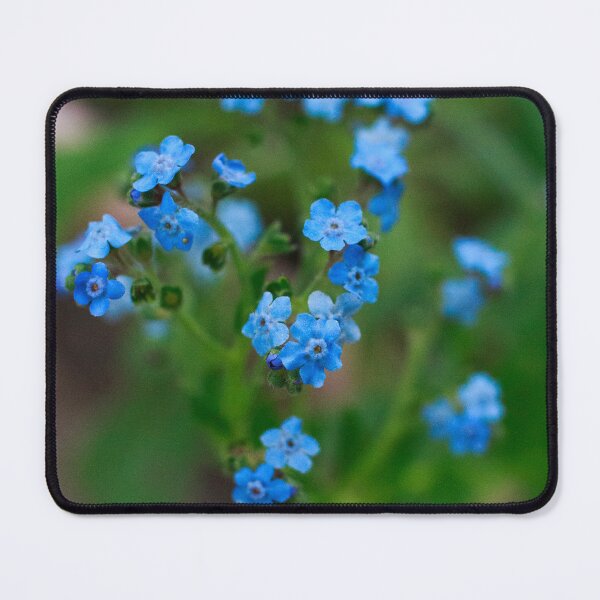 Item preview, Forget-Me-Not Flowers designed and sold by PhotoArtbyGrace.