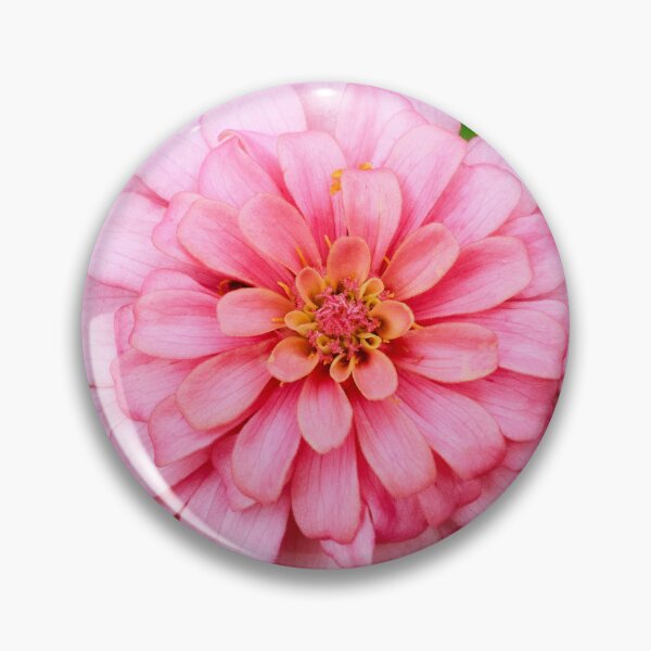 Item preview, Pastel Pink Zinnia designed and sold by PhotoArtbyGrace.
