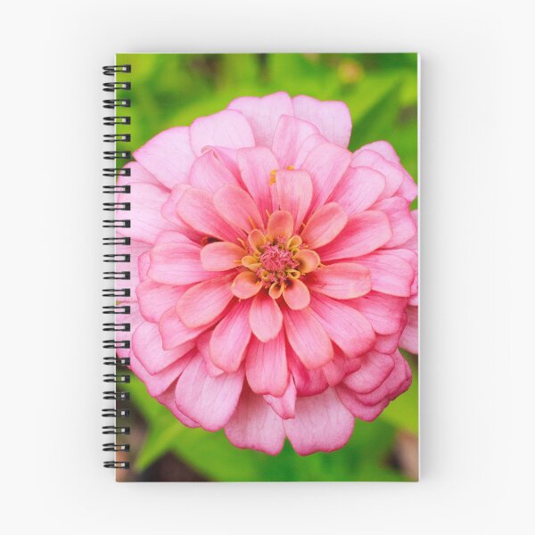 Item preview, Pastel Pink Zinnia designed and sold by PhotoArtbyGrace.